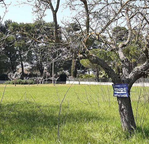 Terreno a Francavilla fontana in Via Appia - Foto 3