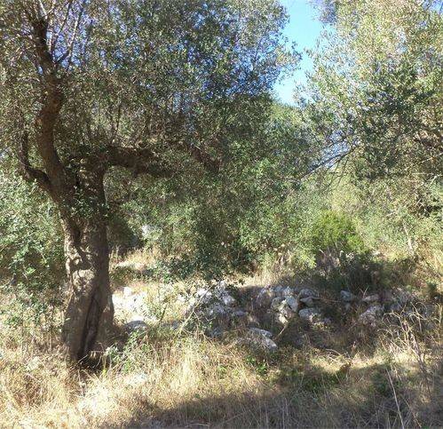 Terreno a Diso in Sp168 73 - Foto 3