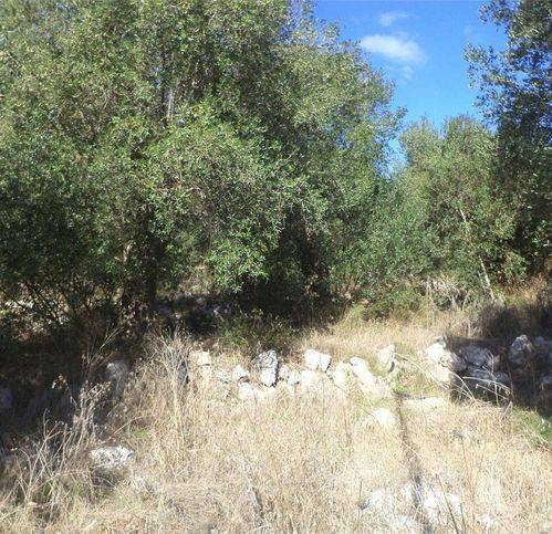 Terreno a Diso in Sp168 73 - Foto 4