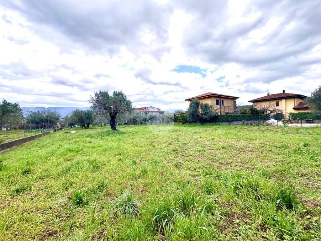 Terreno a Montalto uffugo in Via Silvio Pellico, 7 - Foto 2