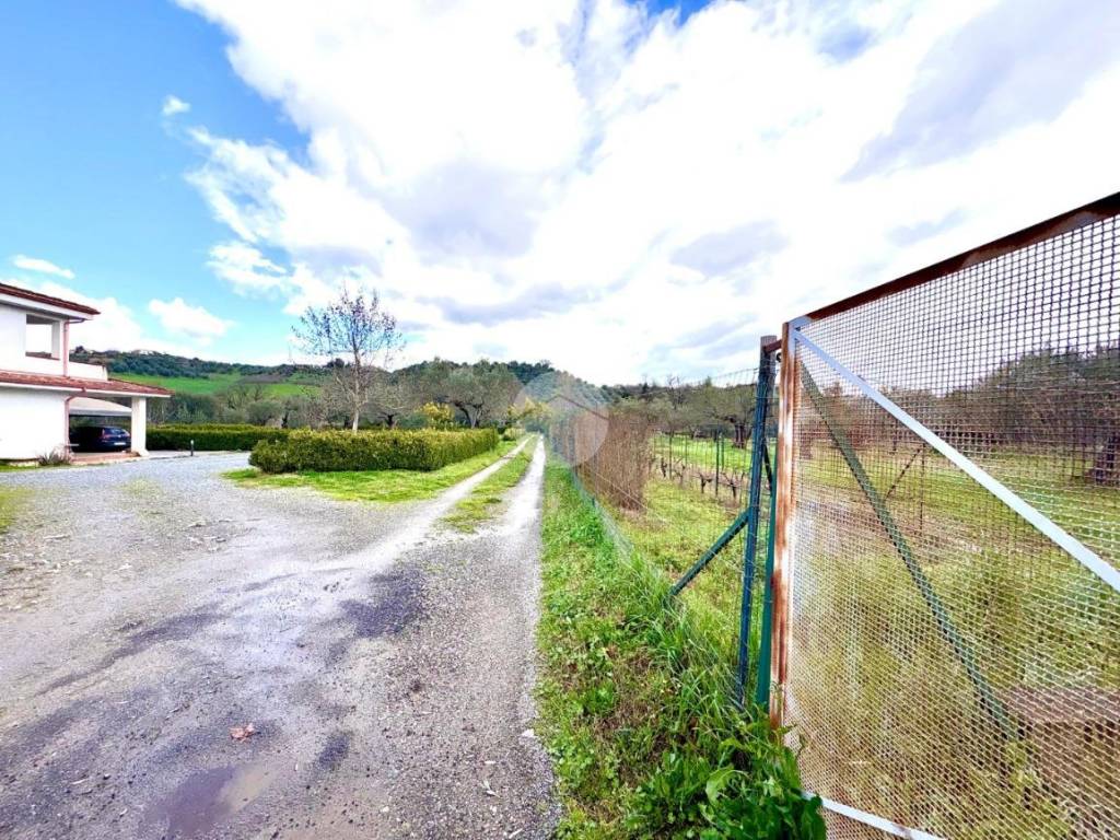 Terreno a Montalto uffugo in Via Silvio Pellico, 7 - Foto 3