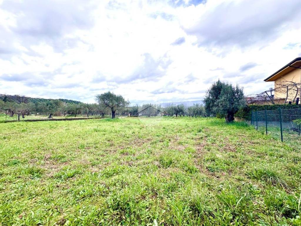Terreno a Montalto uffugo in Via Silvio Pellico, 7 - Foto 4