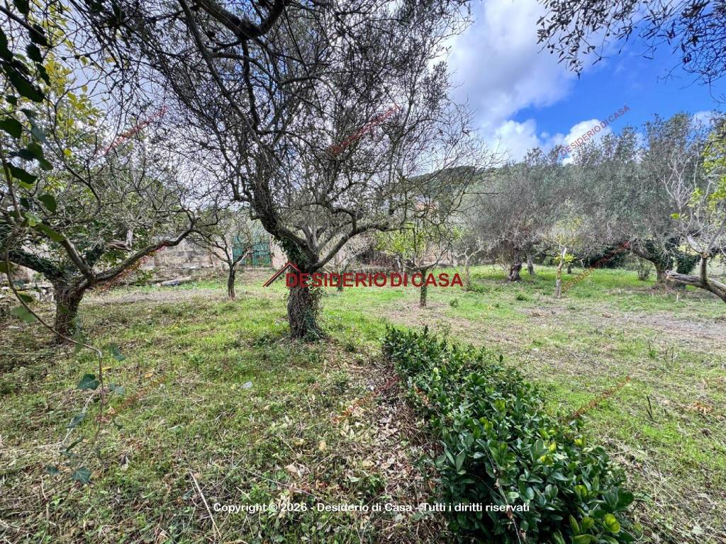Villa a Valderice in Via Enrico Toti - Foto 4