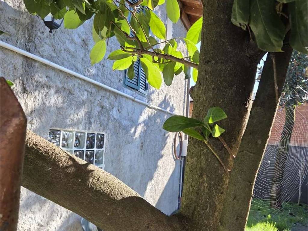 Villa a Budrio in MADDALENA DI CAZZANO CENTRO - Foto 3