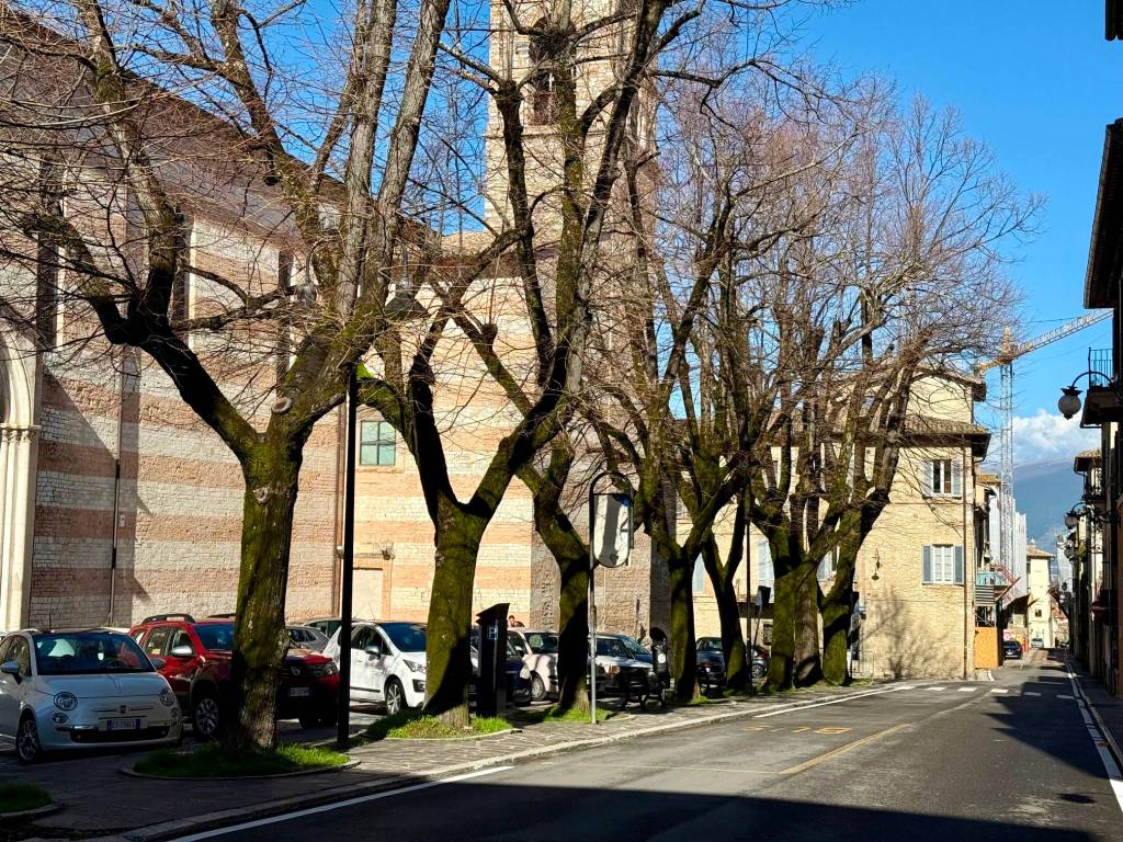 Palazzo / stabile a Spoleto in Via Pierleone, 9 - Foto 3