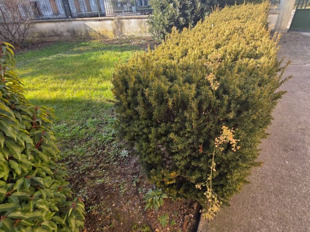Villa a Loria - Foto 3
