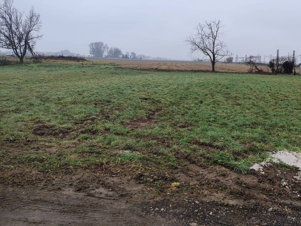 Terreno a Vespolate in Via Guido Cantelli - Foto 3