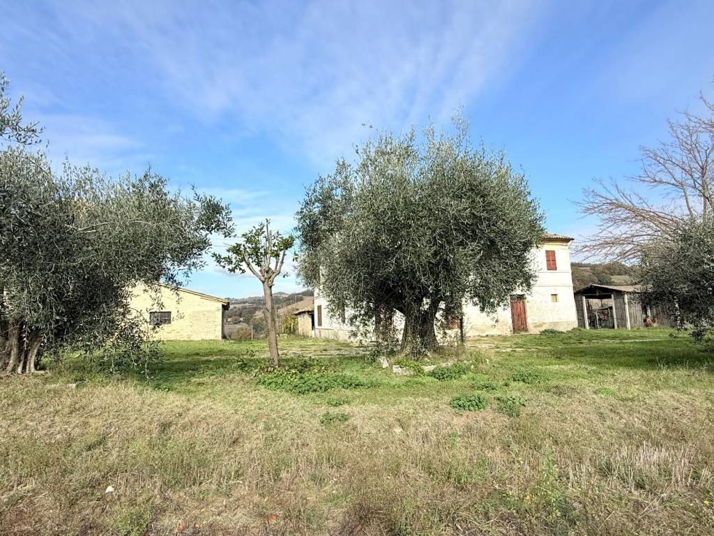 Rustico / casale a Montefelcino in Via degli Orciari - Foto 4