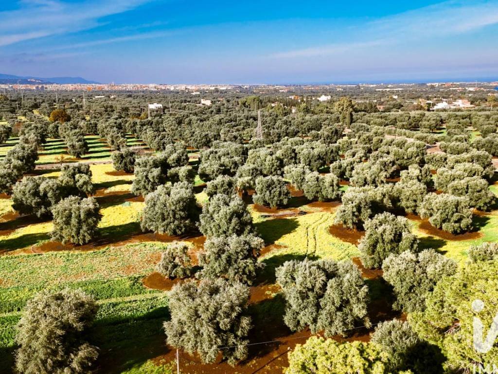 Villa a Fasano in LocalitÃ contrada conca d'oro - Foto 5