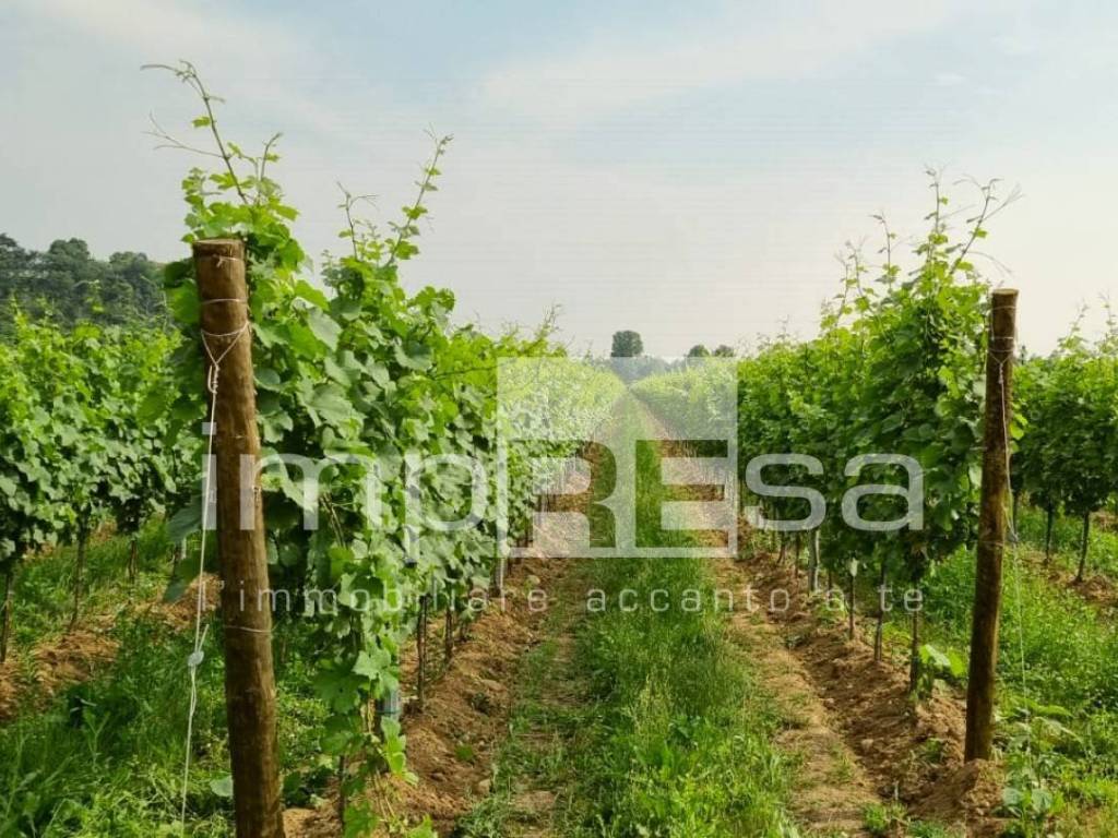 Terreno a Ormelle - Foto 5