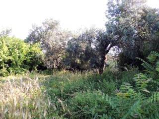 Terreno a Scafa in Via Francesco Paolo Michetti - Foto 2