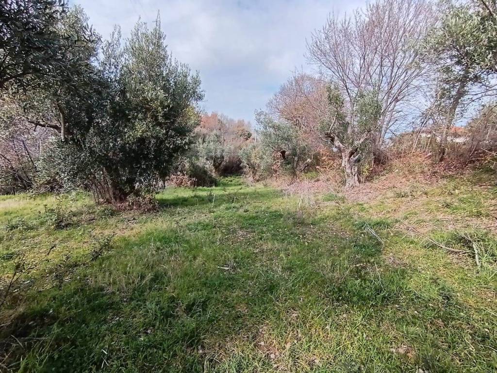 Terreno a Scafa in Via Francesco Paolo Michetti - Foto 3