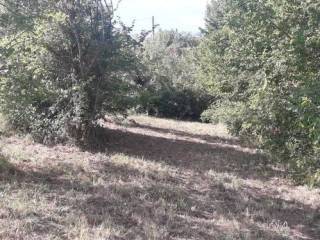 Terreno a Scafa in Via Francesco Paolo Michetti - Foto 4