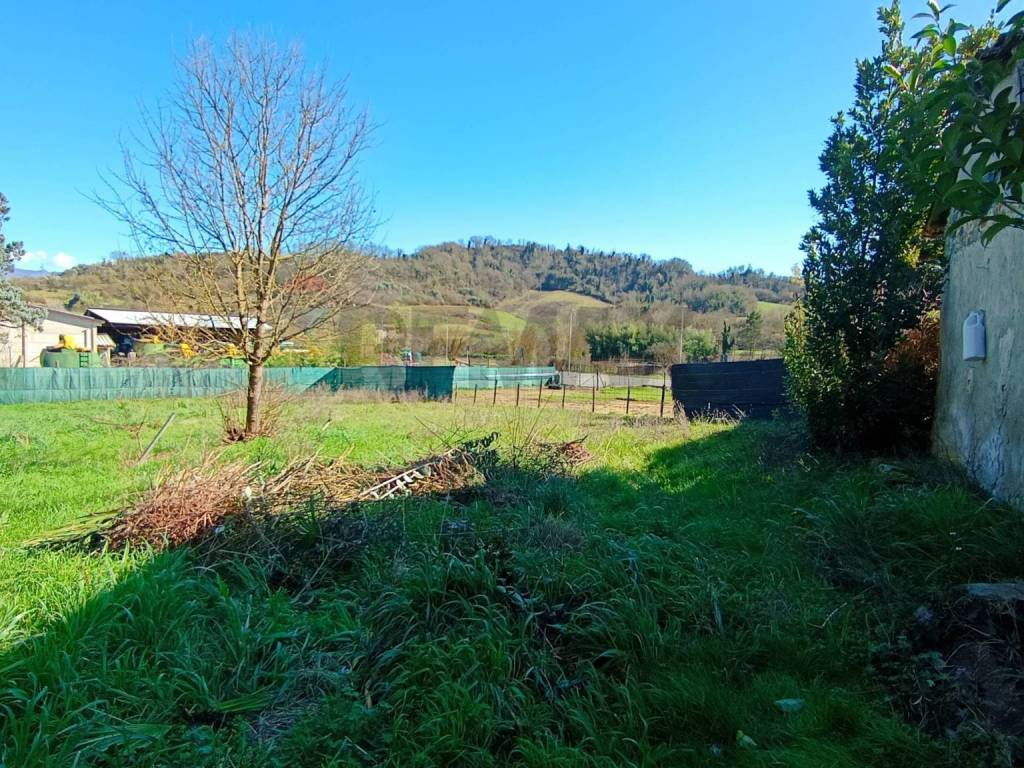 Terreno a Figline e incisa valdarno in SCAMPATA- CESTO - Foto 3