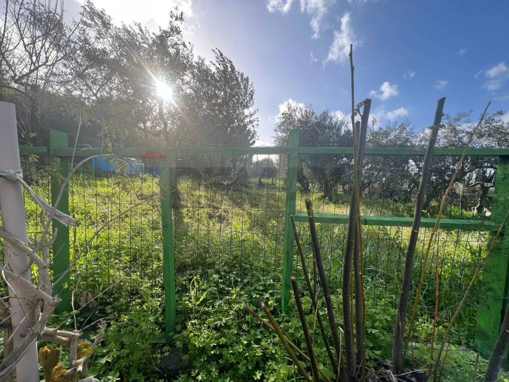 Villa a Bolognetta - Foto 5