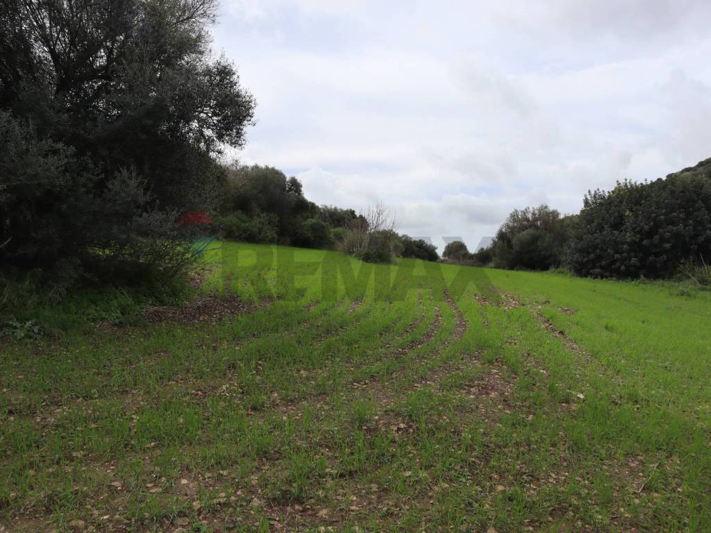 Rustico / casale a Ragusa in C.da Galerme - Foto 4