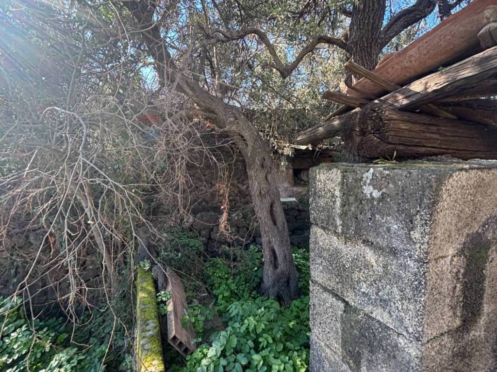 Terreno a Misterbianco in Via della Viole - Foto 3