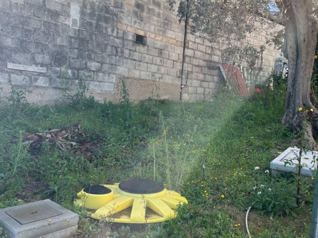 Rustico / casale a Morro d'oro in ssp2 - Foto 3