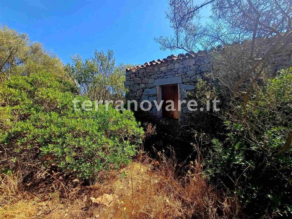 Casa indipendente a Olbia - Foto 3