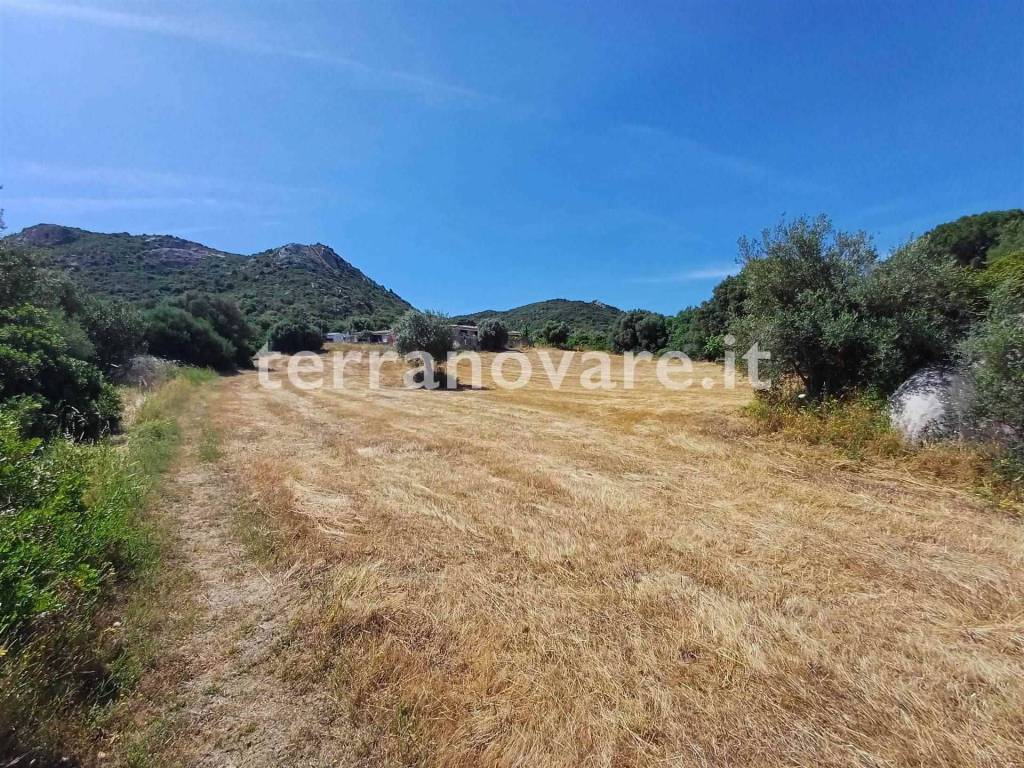 Terreno a Loiri porto san paolo in Strada Provinciale 87 - Foto 3