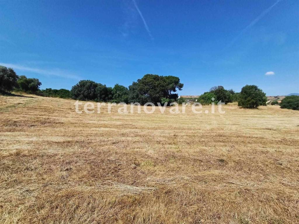 Terreno a Loiri porto san paolo in Strada Provinciale 87 - Foto 4
