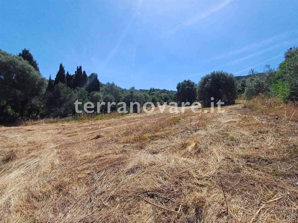 Terreno a Loiri porto san paolo in Strada Provinciale 87 - Foto 5