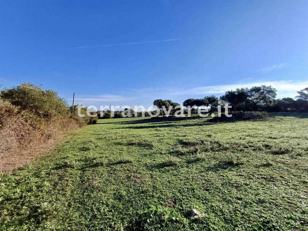 Terreno a Loiri porto san paolo in SP66 - Foto 5