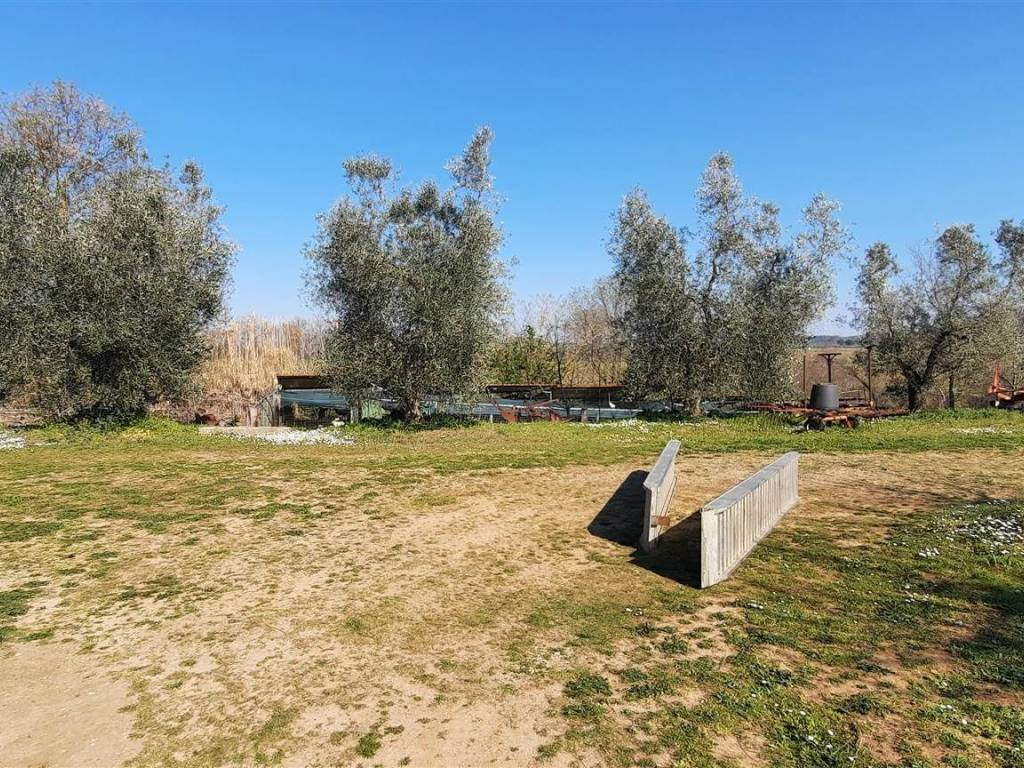 Rustico / casale a Magliano in toscana - Foto 2