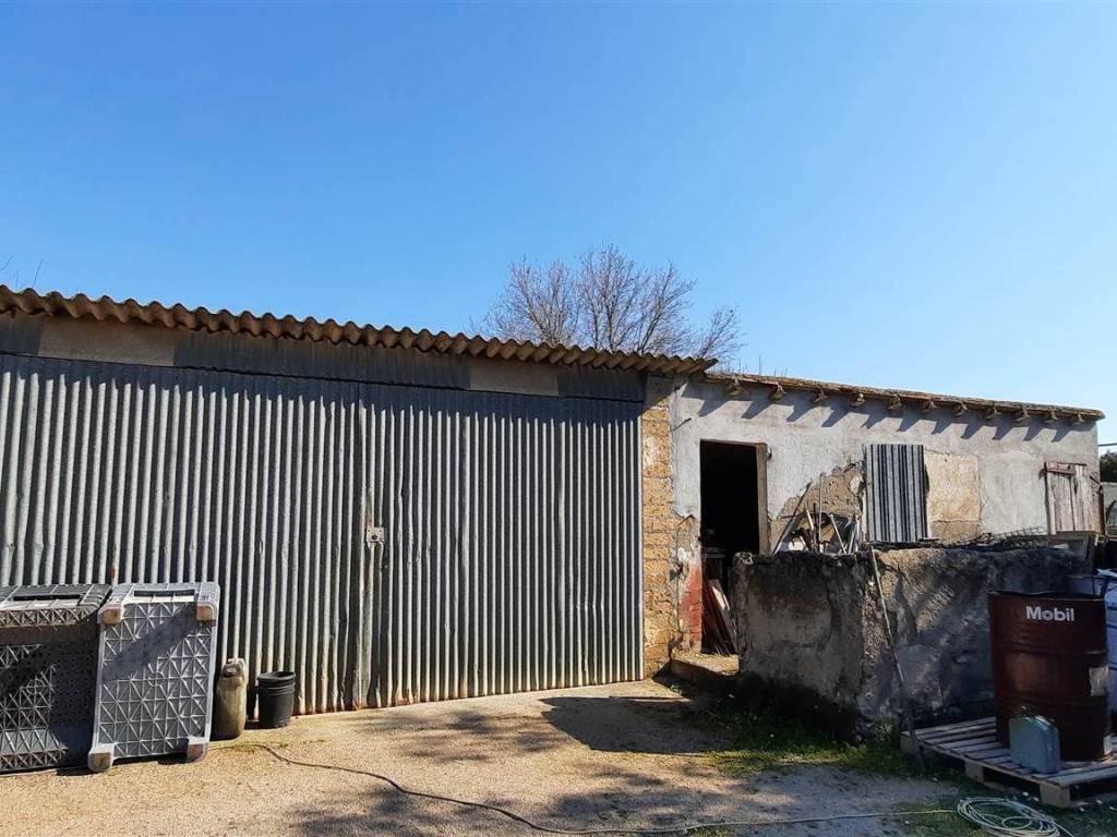 Rustico / casale a Magliano in toscana - Foto 3