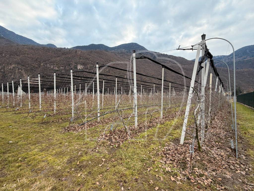 Rustico / casale a Laives - Foto 2