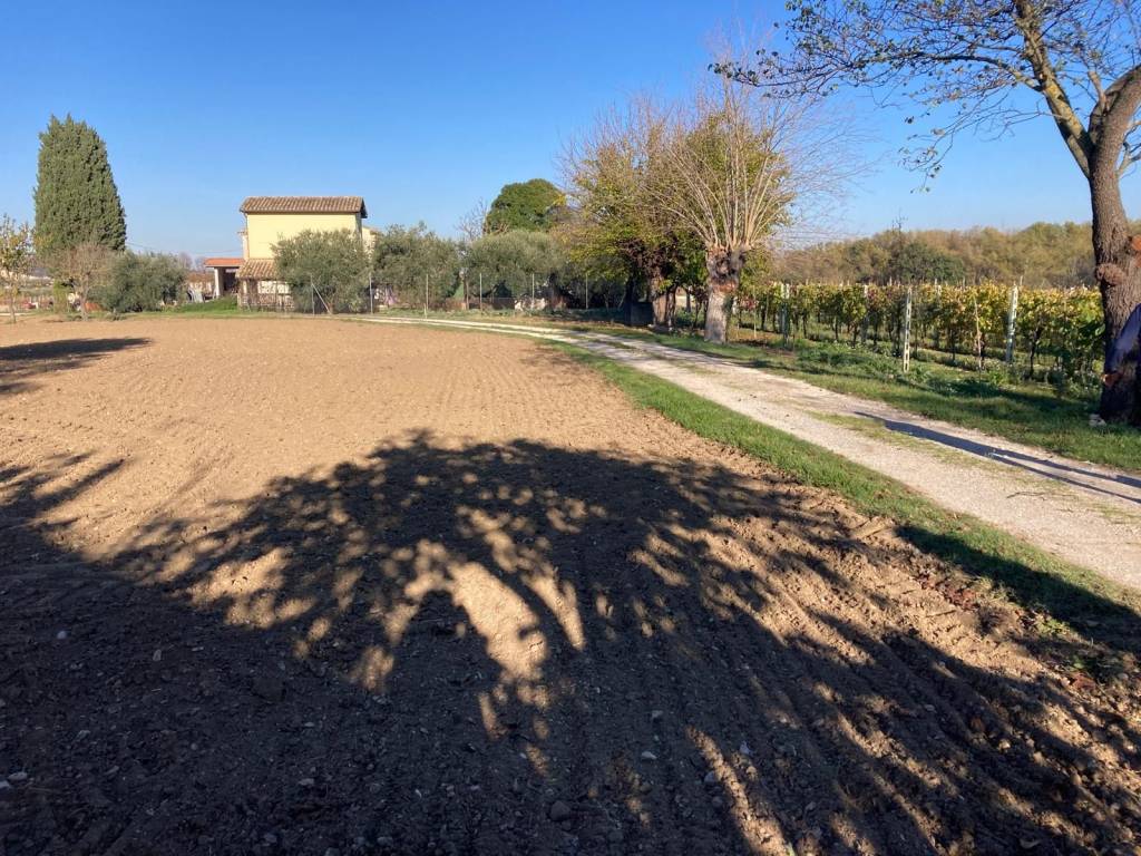 Rustico / casale a Montefelcino in sterpeti - Foto 3