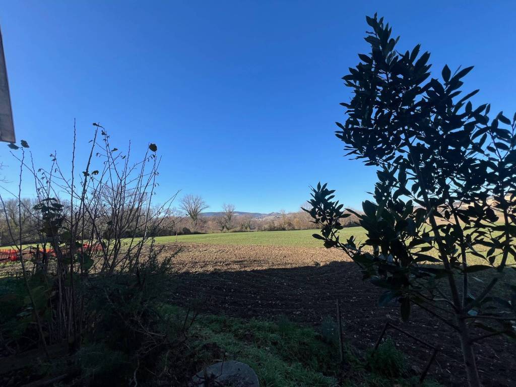 Rustico / casale a Montefelcino in sterpeti - Foto 5