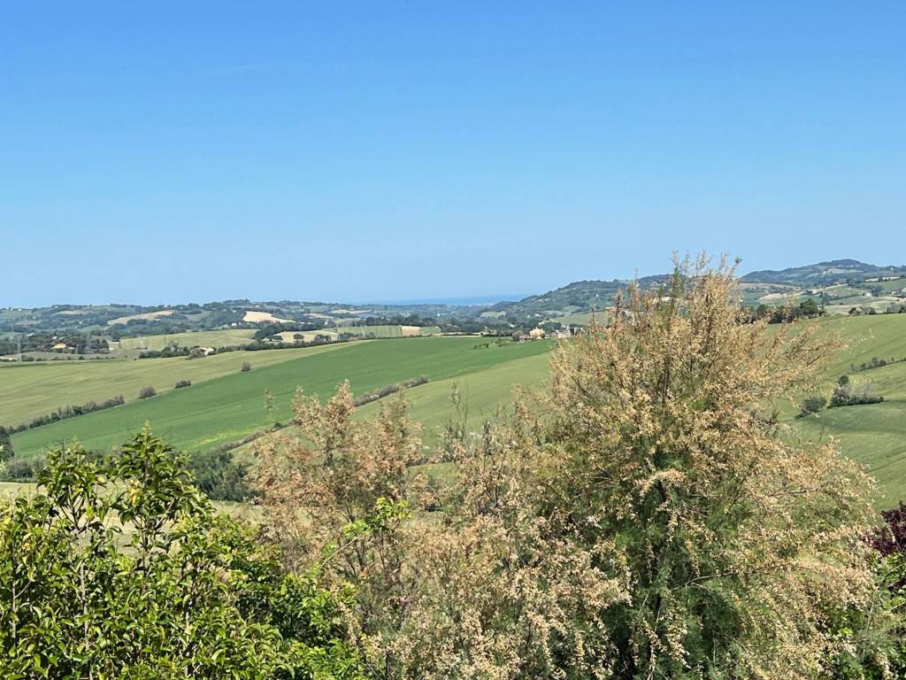 Rustico / casale a Mombaroccio in cairo - Foto 4