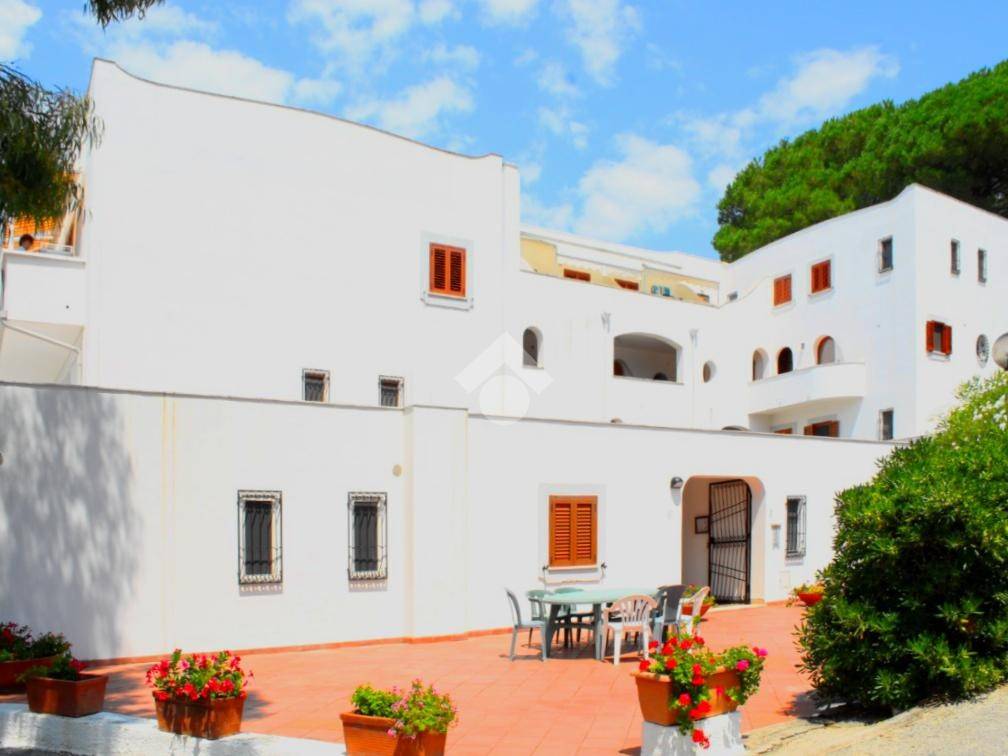 Appartamento a Centola in Località Saline, 5 - Foto 2