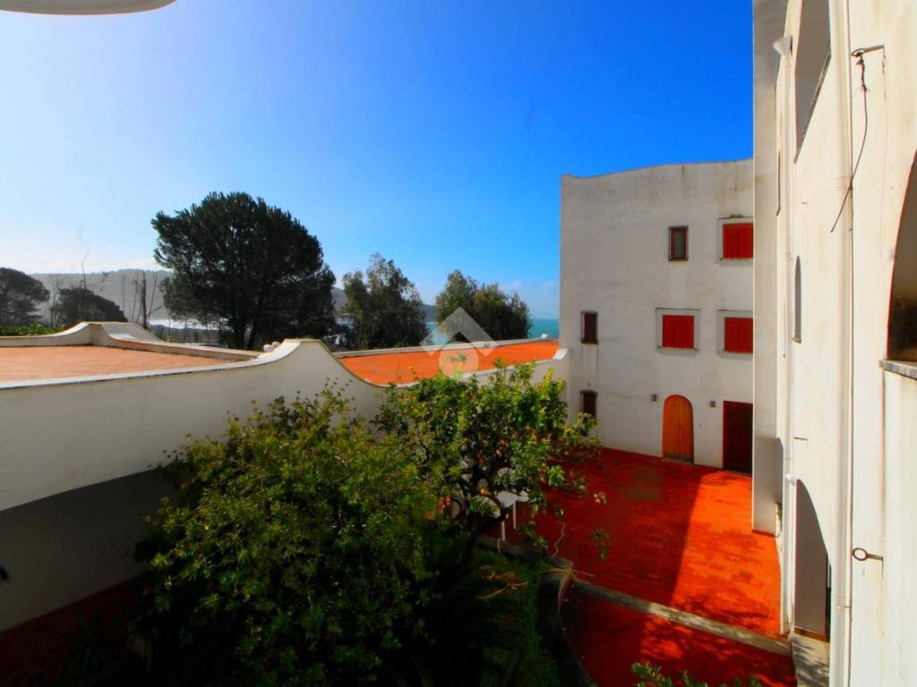 Appartamento a Centola in Località Saline, 5 - Foto 4