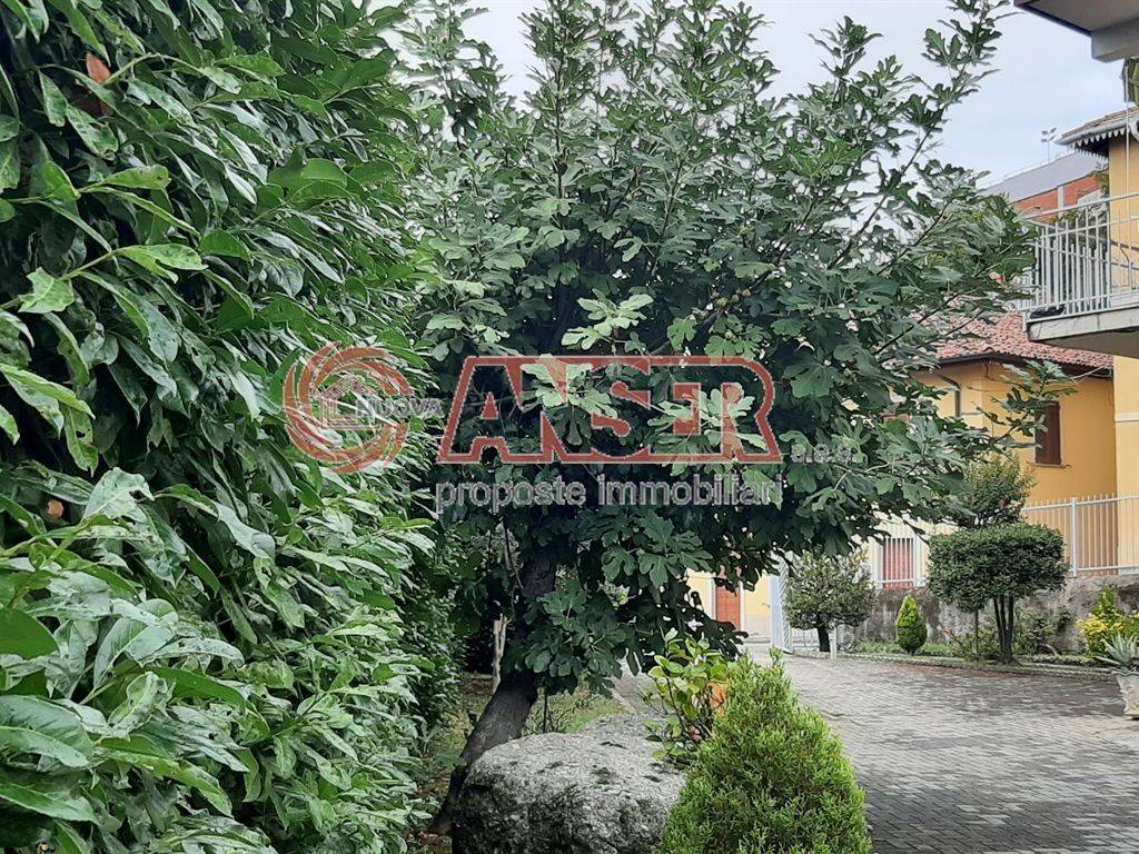 Casa indipendente a Monticello brianza - Foto 5