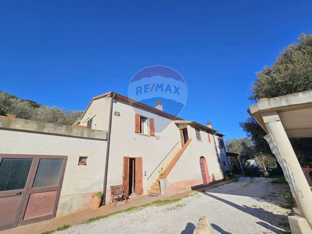 Rustico / casale a Campiglia marittima - Foto 3