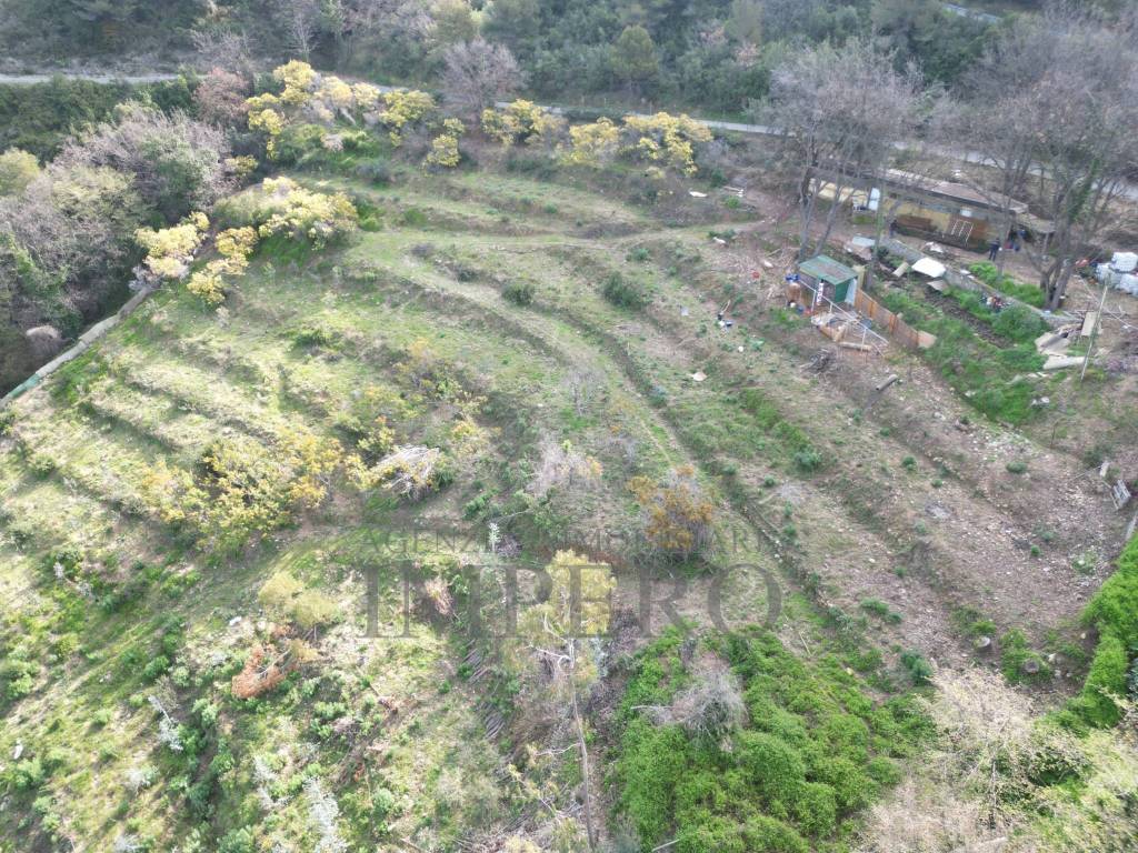 Terreno a Camporosso in Regione Magauda, 36 - Foto 3