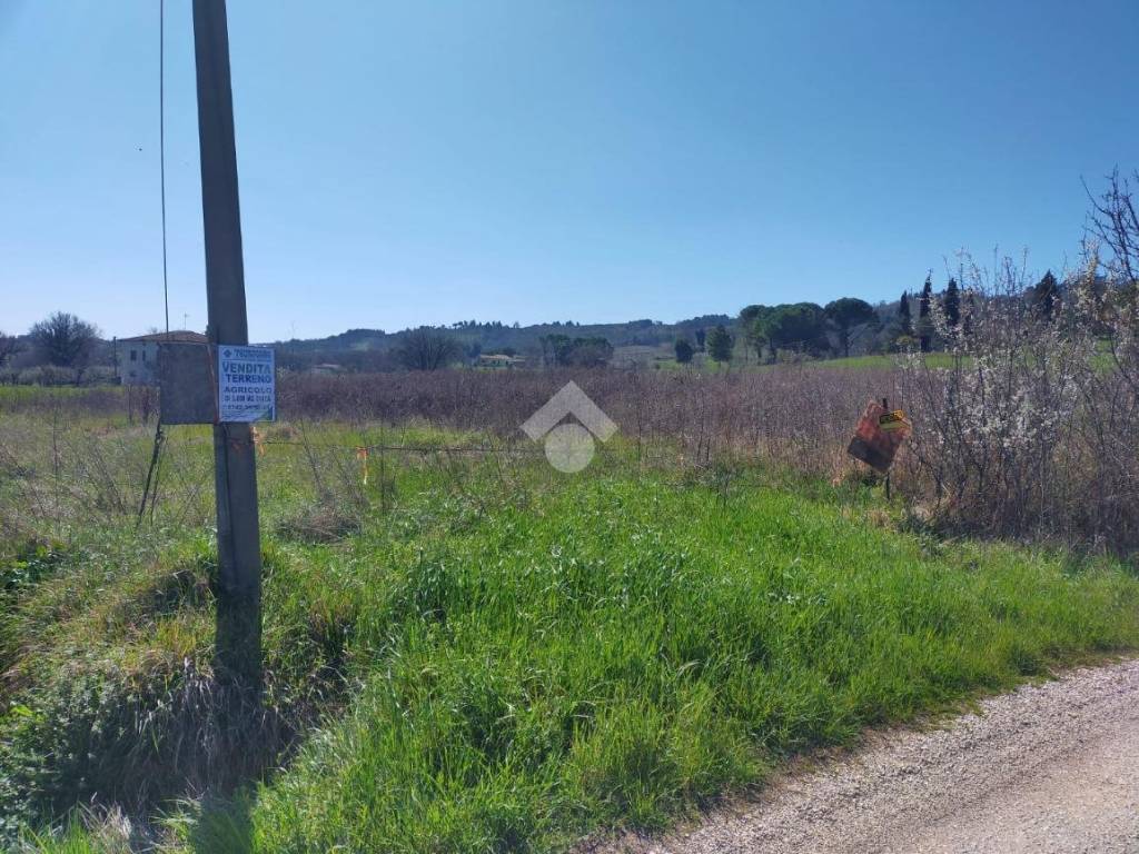 Terreno a Bevagna in Località Pilone - Foto 3