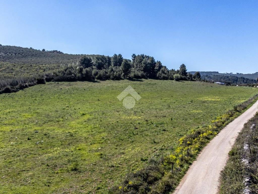 Terreno a Vieste in LOCALITA' MANDRIONE - Foto 3