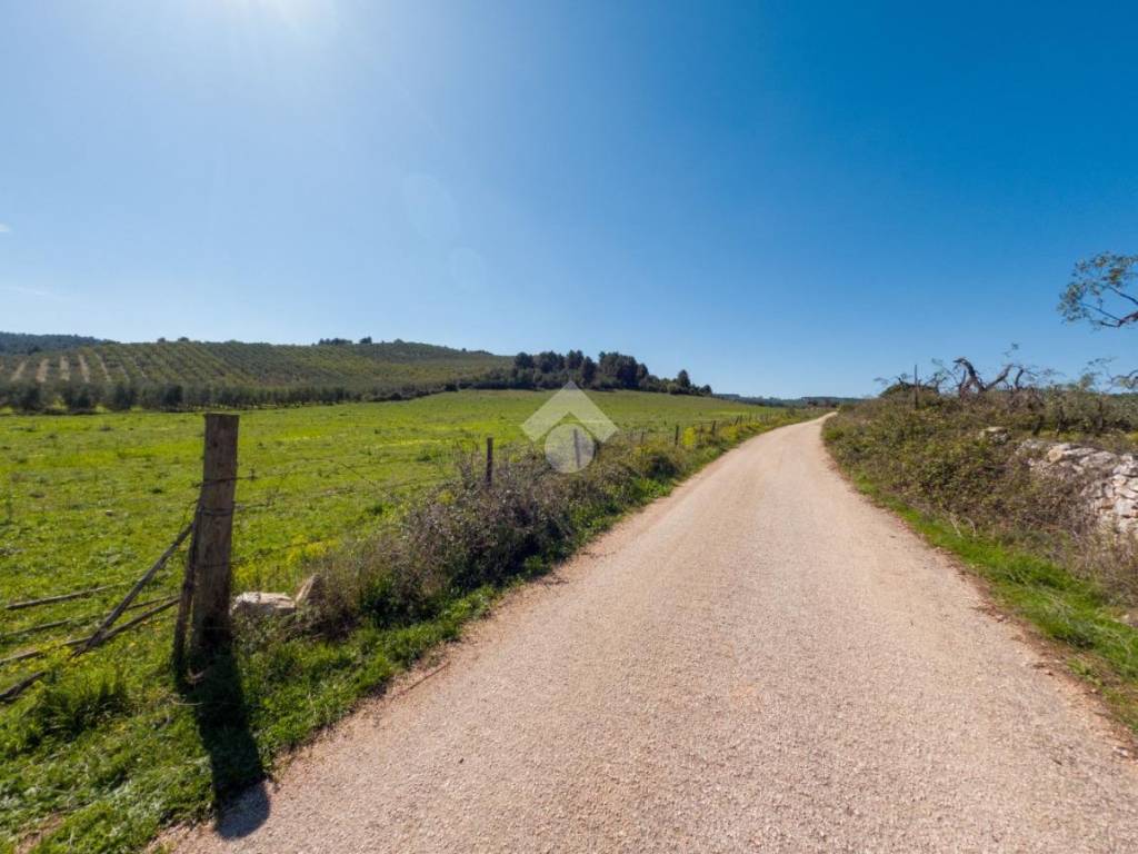 Terreno a Vieste in LOCALITA' MANDRIONE - Foto 4