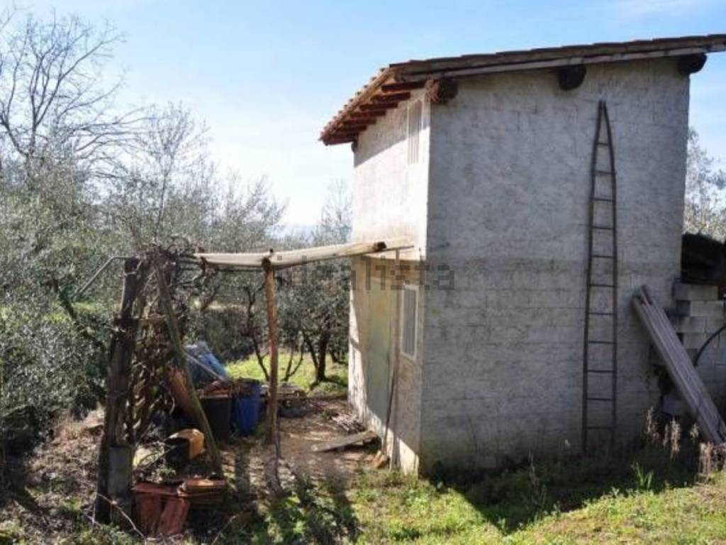 Terreno a Terranuova bracciolini - Foto 2