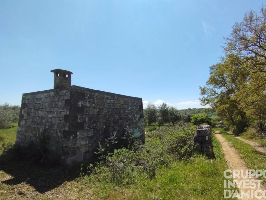 Rustico / casale a Ostuni in Contrada San Salvatore - Foto 3