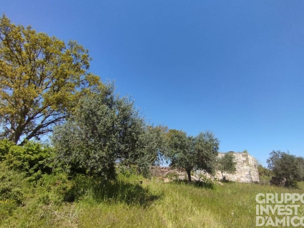 Rustico / casale a Ostuni in Contrada San Salvatore - Foto 5