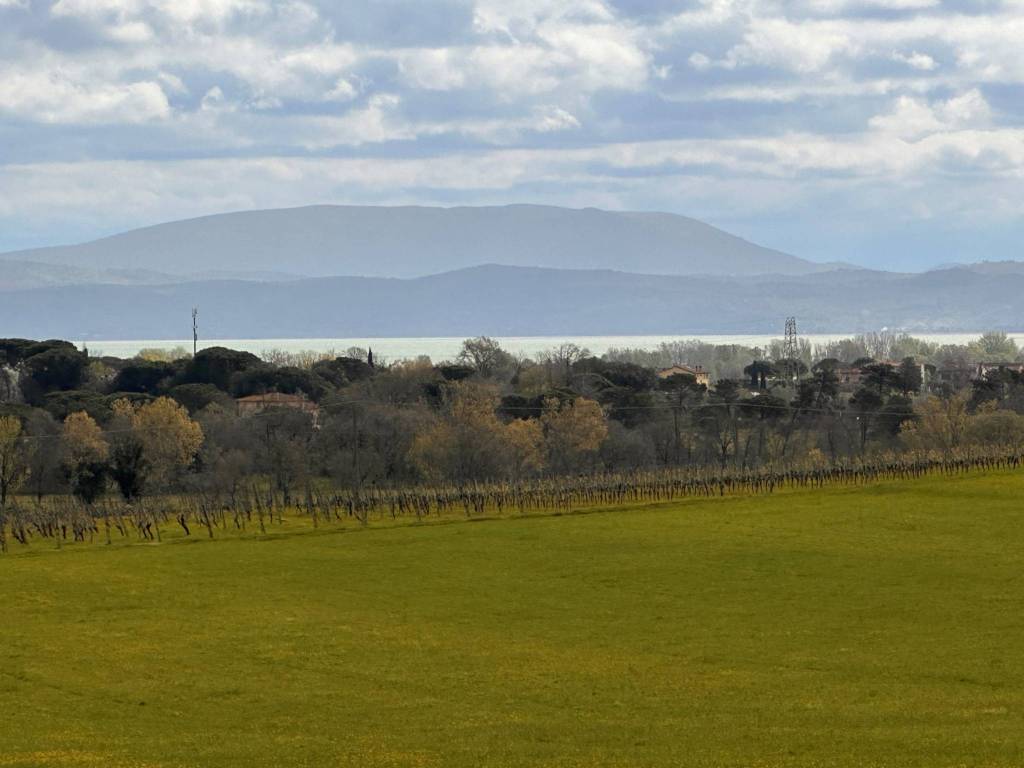 Rustico / casale a Castiglione del lago in Via Paganico - Foto 3
