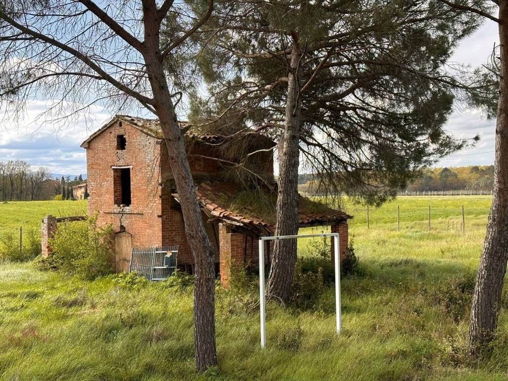 Rustico / casale a Castiglione del lago in Via Paganico - Foto 5