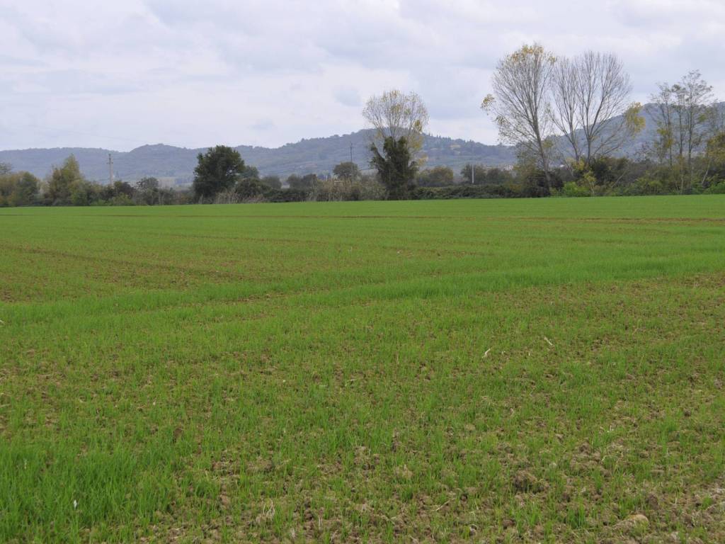 Terreno a Castiglione del lago in Via Giuseppe Mazzini - Foto 2
