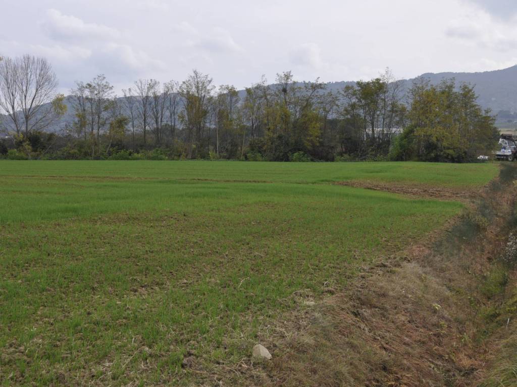 Terreno a Castiglione del lago in Via Giuseppe Mazzini - Foto 3