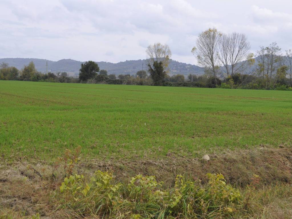 Terreno a Castiglione del lago in Via Giuseppe Mazzini - Foto 4