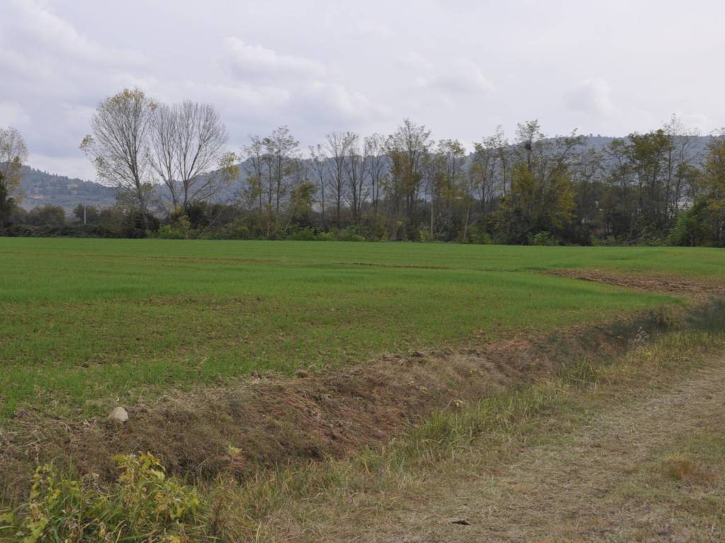 Terreno a Castiglione del lago in Via Giuseppe Mazzini - Foto 5